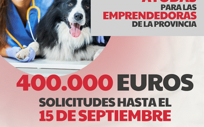 La DPZ lanza una nueva convocatoria de sus ayudas para las mujeres emprendedoras de la provincia, dotadas con 400.000 euros