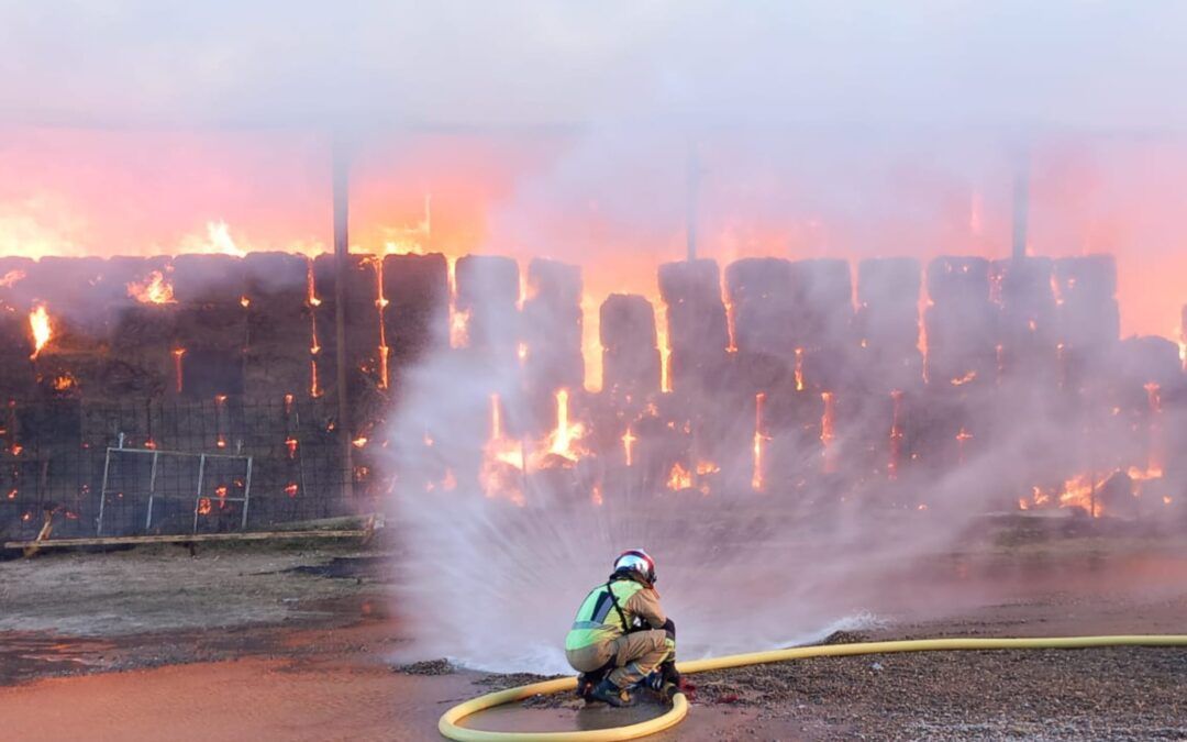 Bomberos