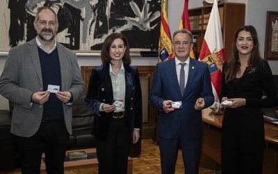 La DPZ aprueba el presupuesto más alto de su historia con 212 millones y una cifra récord para la mejora de las carreteras provinciales con los votos del PSOE, En Común-IU y CHA