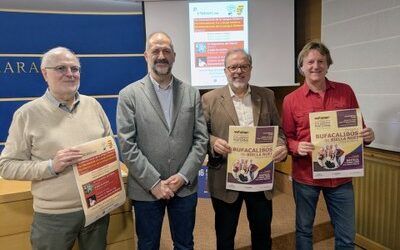 La DPZ celebra el Día Internacional de la Lengua Materna con música, poesía y documentales en aragonés y catalán de Aragón