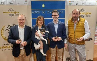 Las Jornadas de la Trufa negra de la Comarca de Daroca amplían programación y se consolidan como cita referente en Aragón
