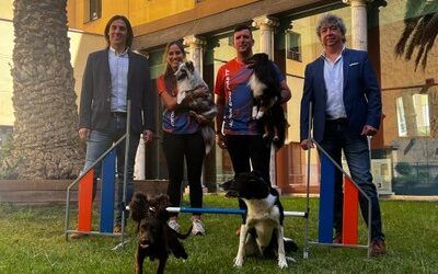 Gotor acoge el Campeonato de España de Agility de la Real Sociedad Canina del 23 al 25 de mayo
