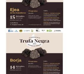 El sabor de la trufa negra llega este fin de semana a Borja y Ejea de la mano de la Diputación de Zaragoza con sendas jornadas de divulgación