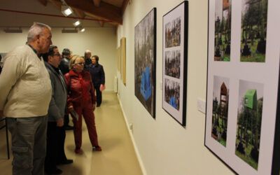 Fuendetodos exhibe los diez mejores trabajos del certamen IberArt 2013