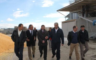 La DPZ realizará diversas actuaciones para paliar los daños provocados por el tornado en la zona de Biota