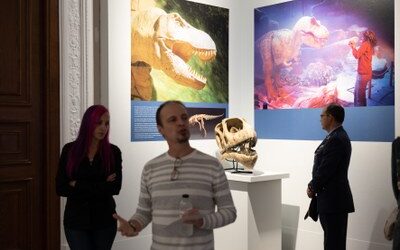 Más de 5.000 personas han visitado ya la exposición sobre el 40 aniversario del Estatuto de Autonomía en el palacio de Sástago