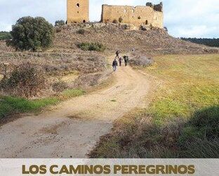 La Institución Fernando el Católico y el Centro de Estudios de las Cinco Villas recopilan en un libro los caminos de peregrinos en la zona