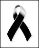 La DPZ traslada su apoyo y condolencias a los familiares de los fallecidos en el accidente ferroviario