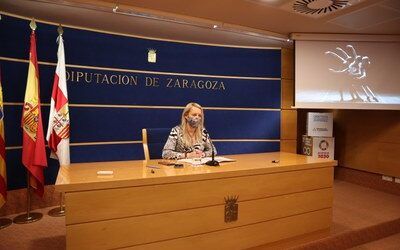 La DPZ lanza su programa de premios artísticos de este año, dotado con 194.000€ y con un galardón para cómic como novedad