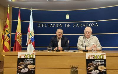 Las XXI jornadas micológicas de otoño de San Martín de Moncayo vuelven con conferencias, salidas micológicas y talleres