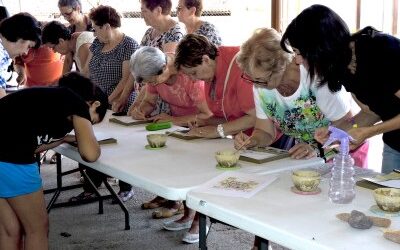 LA DIPUTACIÓN DE ZARAGOZA AMPLÍA LOS PLAZOS DE SOLICITUD DE TODAS LAS AYUDAS QUE TIENE ABIERTAS PARA ENTIDADES SIN ÁNIMO DE LUCRO