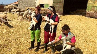 LA DPZ TRIPLICARÁ ESTE AÑO EL PRESUPUESTO DEL PROGRAMA DESAFÍO, EL ‘ERASMUS RURAL’ QUE IMPULSA JUNTO A LA UNIVERSIDAD DE ZARAGOZA