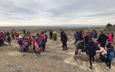 MÁS DE 50 MUNICIPIOS SE SUMAN A LA MAYOR PLANTACIÓN COLABORATIVA DE ESPAÑA GRACIAS A LOS MÁS DE 8.000 ÁRBOLES ENTREGADOS POR LA DPZ