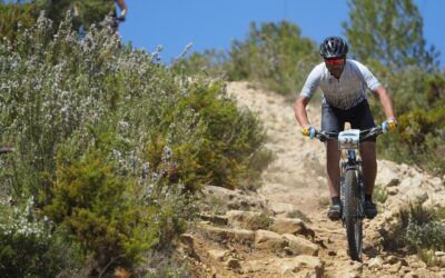 La DPZ concede 640.000 euros en ayudas a 310 clubes y asociaciones de la provincia para organizar actividades deportivas