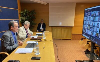 LA DPZ LANZARÁ UN PLAN EXTRAORDINARIO DE 10 MILLONES DE EUROS PARA PALIAR EL IMPACTO SOCIAL Y ECONÓMICO DEL CORONAVIRUS EN LA PROVINCIA