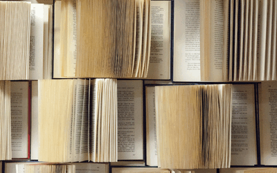 La Diputación de Zaragoza convoca los XXXIII premios Santa Isabel de narrativa y de poesía, dotados con 5.000 euros cada uno