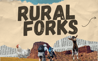 El proyecto Rural Forks en el que colabora la DPZ recorre la provincia de Zaragoza para conocer 14 proyectos innovadores