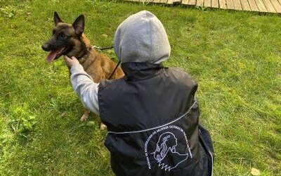 La DPZ distribuye 94.000 euros en ayudas entre una decena de asociaciones que luchan contra la violencia de género en la provincia