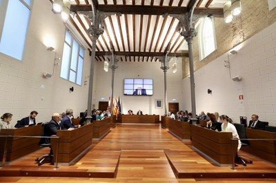 La Diputación de Zaragoza aprueba una declaración institucional para que el 2023 sea considerado el año del Papa Luna