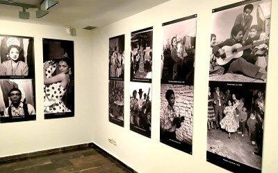 La DPZ expone en la sala 4º Espacio un recorrido por la evolución del pueblo gitano a través de la cámara de cuatro fotógrafos