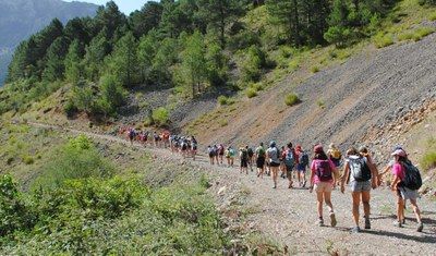 La DPZ recupera sus colonias de verano y oferta 660 plazas durante julio y agosto en Anento, Morata de Jalón y Alcalá de Moncayo