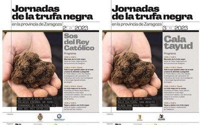 Las jornadas de la trufa negra organizadas por la DPZ, el CITA y Truzarfa llegan este sábado a Sos del Rey Católico y el domingo a Calatayud