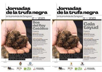 Las jornadas de la trufa negra organizadas por la DPZ, el CITA y Truzarfa llegan este sábado a Sos del Rey Católico y el domingo a Calatayud