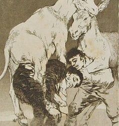 El consorcio cultural Goya-Fuendetodos de la DPZ expone la serie completa de ‘Los caprichos’ en el museo de Reus