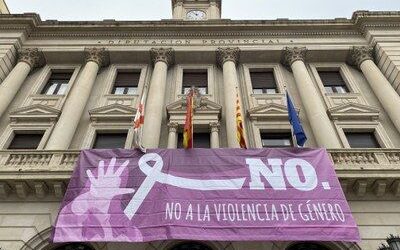 Todos los grupos de la DPZ, a excepción de Vox, acuerdan un manifiesto por el Día de la Eliminación de la Violencia contra la Mujer