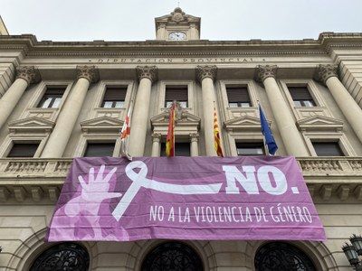 Todos los grupos de la DPZ, a excepción de Vox, acuerdan un manifiesto por el Día de la Eliminación de la Violencia contra la Mujer