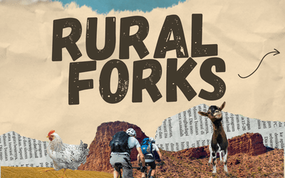 El proyecto Rural Forks en el que colabora la DPZ busca jóvenes del entorno rural para conocer iniciativas innovadoras y sostenibles