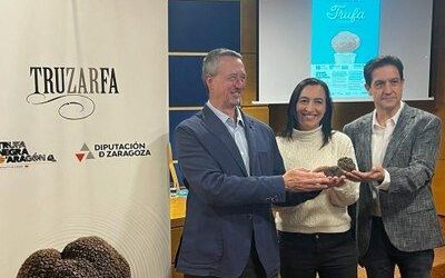 La DPZ, el CITA y Truzarfa organizan la III Muestra de la Trufa Negra este fin de semana en el palacio de Sástago