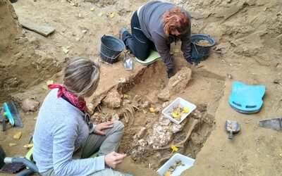 La DPZ concede 82.000 euros en ayudas a siete asociaciones que trabajan por la memoria histórica en la provincia