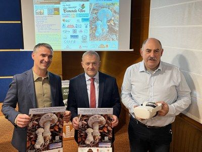 San Martín del Moncayo celebra sus jornadas micológicas con salidas al monte, talleres, actividades infantiles y música
