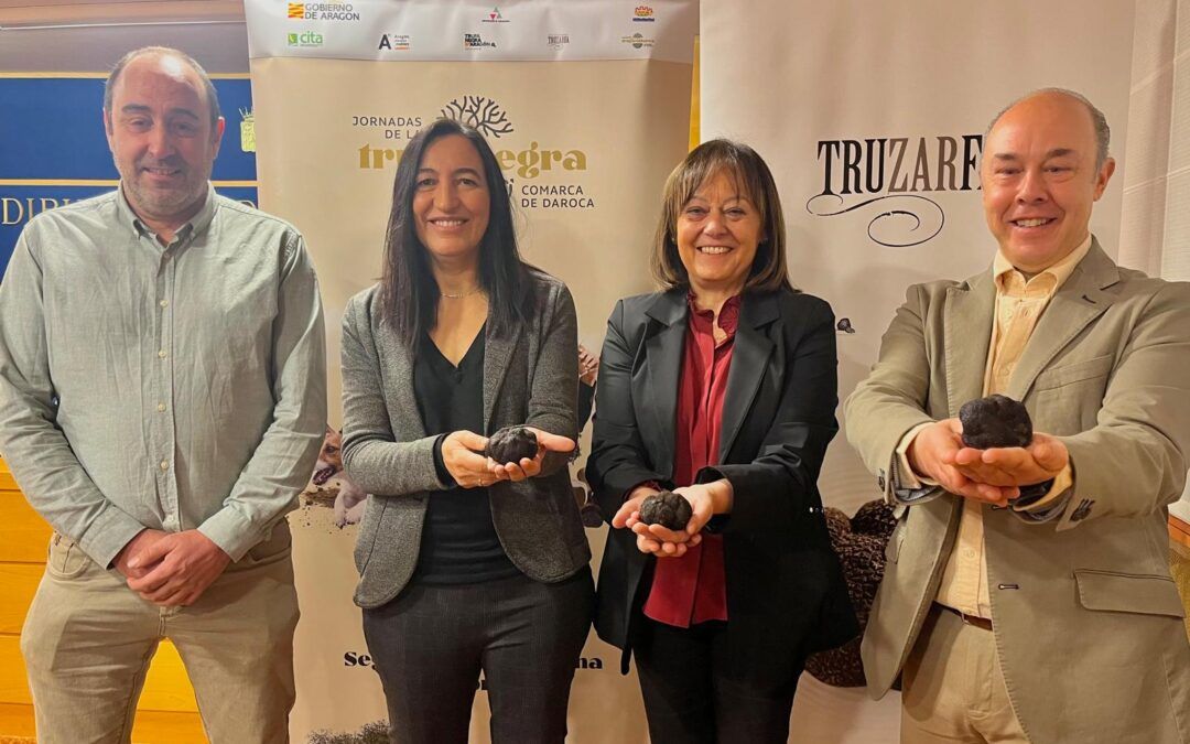 Las VIII Jornadas de la Trufa Negra de la Comarca Campo de Daroca contarán con la primera subasta virtual de trufa de Aragón