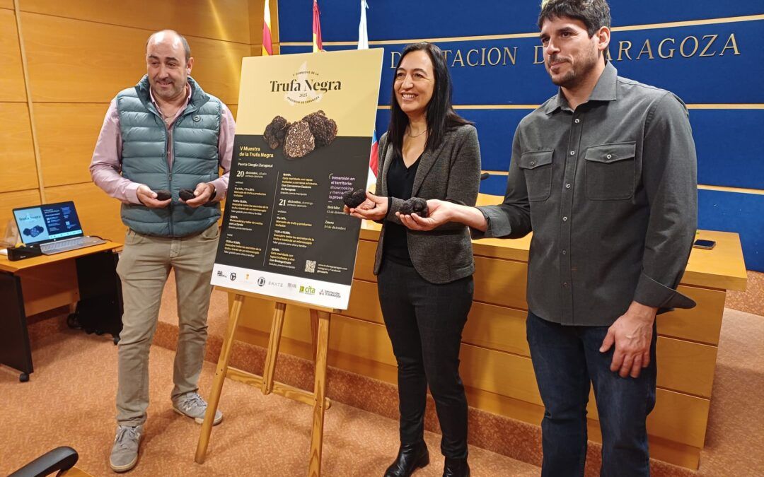 Catas, showcookings y talleres para familias, actividades de la V Muestra de la Trufa Negra que llegará a Belchite y Zuera este fin de semana