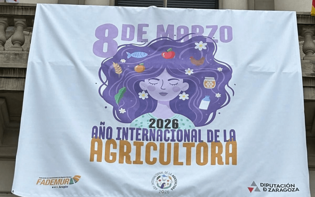 Todos los grupos políticos de la DPZ a excepción de Vox impulsan una declaración conjunta por el Día Internacional de la Mujer
