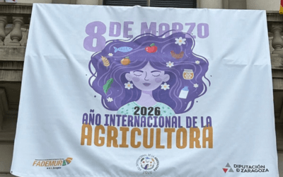 Todos los grupos políticos de la DPZ a excepción de Vox impulsan una declaración conjunta por el Día Internacional de la Mujer