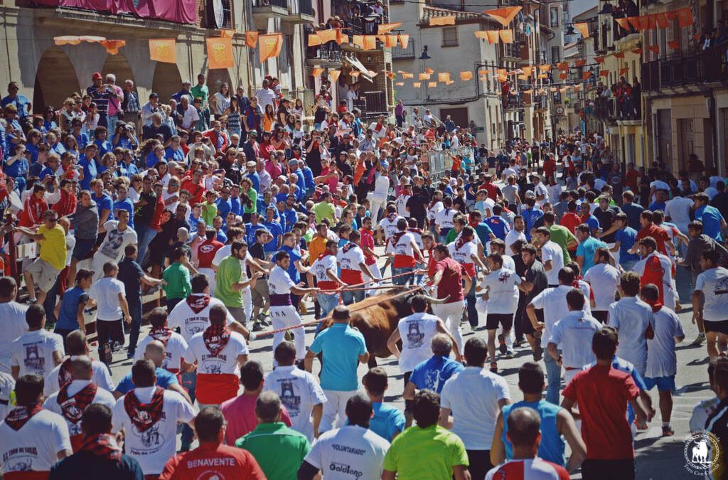 El toro de sogas, Fiesta de Interés Turístico de Aragón, recorrerá un año más las calles de Pina de Ebro este sábado