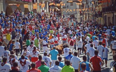 El toro de sogas, Fiesta de Interés Turístico de Aragón, recorrerá un año más las calles de Pina de Ebro este sábado