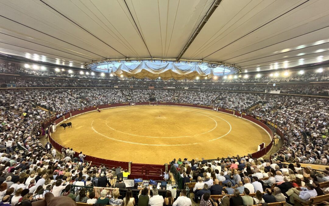 La Diputación de Zaragoza asistirá a la manifestación de mañana miércoles en defensa de los toros